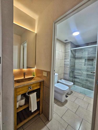 a bathroom with a sink and a toilet and a shower at infinity sky deluxe in Ushuaia