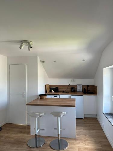 Kuchyň nebo kuchyňský kout v ubytování Le havre Isabey - Appartement coquet et calme