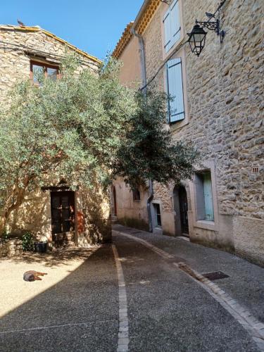 an empty street in front of a stone building at Le gîte des moineaux in Argeliers