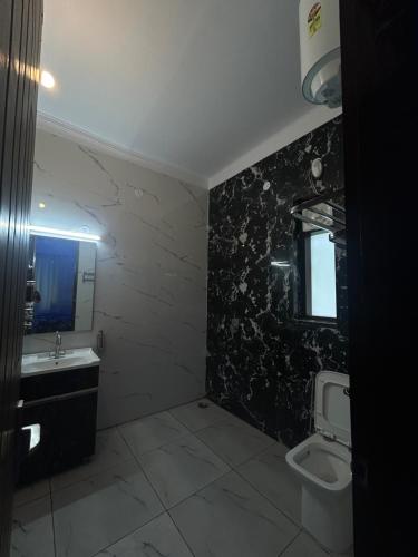a bathroom with a toilet and a sink and a mirror at Shelter and sky in Dehradun