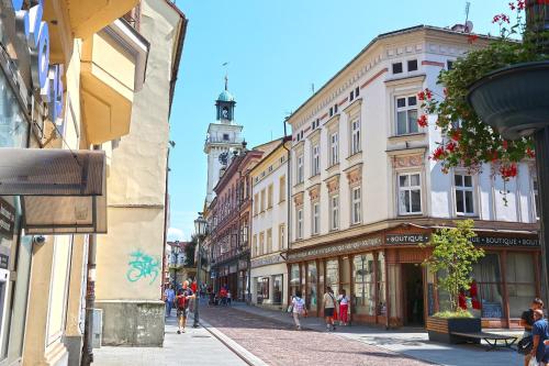 Gallery image of Cieszyński Aparthotel Stary Rynek Cieszyn in Cieszyn