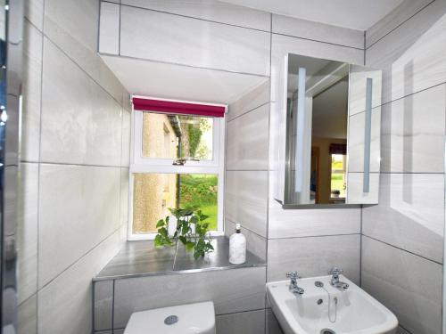a bathroom with a sink and a toilet and a mirror at 3 Bed in The Cairngorms 53150 in Dinnet