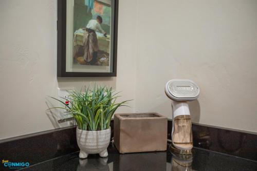 a bathroom counter with a hair dryer and a plant at Gathering Place Hot Tub Game rooms in Orem