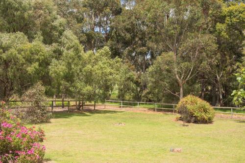 a field of grass with trees and a fence at Trastevere Farmhouse-Working Cattle Farm-Family Escape in Cowaramup
