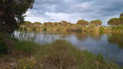a river with trees on the side of it at Galtellì casa vacanze in Galtellì