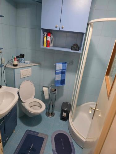 a small bathroom with a toilet and a shower at Apartman BELLA in Doboj