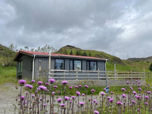 a house with a bunch of flowers in front of it at Lækjarhus Farm Holidays in Borgarhöfn
