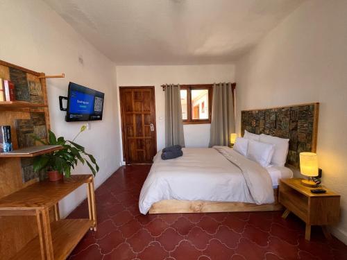 a hotel room with a bed and a television at Che San Cristobal de las Casas Hostel in San Cristóbal de Las Casas