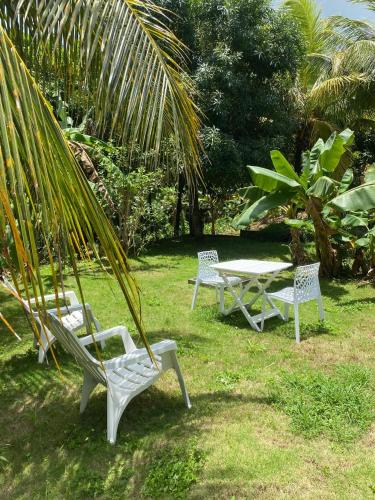 two white chairs and a table in the grass at Maison charmante à Baie-Mahault avec jardin clôturé in Baie-Mahault