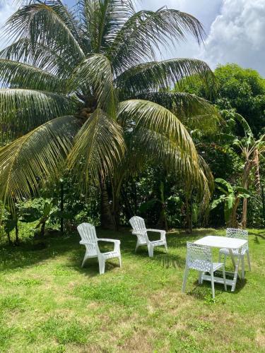 two white chairs and a table and a palm tree at Maison charmante à Baie-Mahault avec jardin clôturé in Baie-Mahault