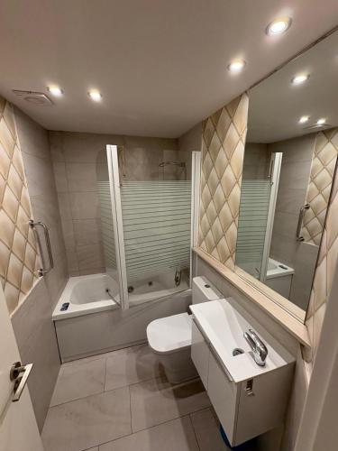 a bathroom with a toilet and a sink and a shower at Apartamentos Vino Tinto y Restaurante Tomate Rosa in Adahuesca