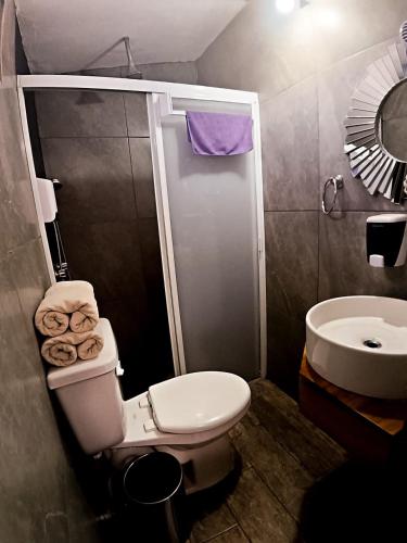a small bathroom with a toilet and a sink at Estancia luxury central, Paseo Durango in Durango