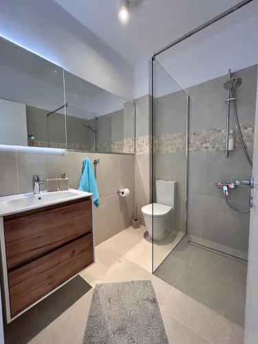 a bathroom with a shower and a sink and a toilet at Akamas Bayview Apartment in Neo Chorio