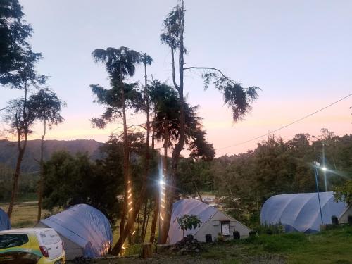 a group of tents in a field with trees at Dieng glamping syari'ah in Dieng