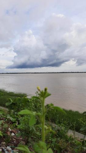 Un paisaje natural cerca de la casa de huéspedes