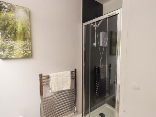 a bathroom with a shower with a glass shower stall at Mallard Cottage in Penrith