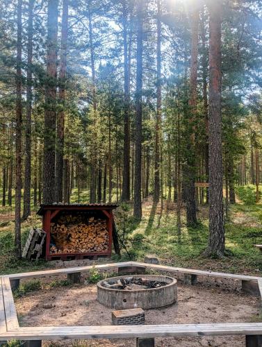 a fire pit in the middle of a forest at RiverNest Bergsäng- Natur- Ruhe- Abenteuer in Bergsäng