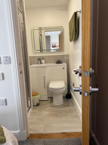 a bathroom with a white toilet and a mirror at Altonhill Cottage - room only in Nairn