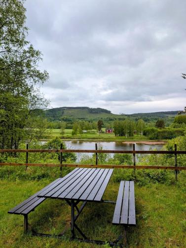 a picnic table sitting in the grass next to a lake at RiverNest Bergsäng- Natur- Ruhe- Abenteuer in Bergsäng