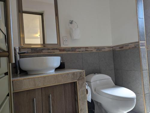 a bathroom with a toilet and a sink and a mirror at Moderna, Comoda Suite Palma en Tepotzotlán centro in Tepotzotlán