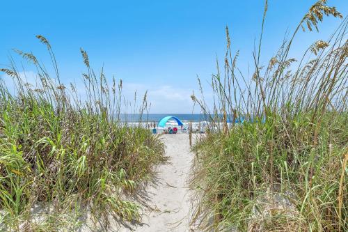 a path through the sand on a beach at Reelaxing in Oak Island