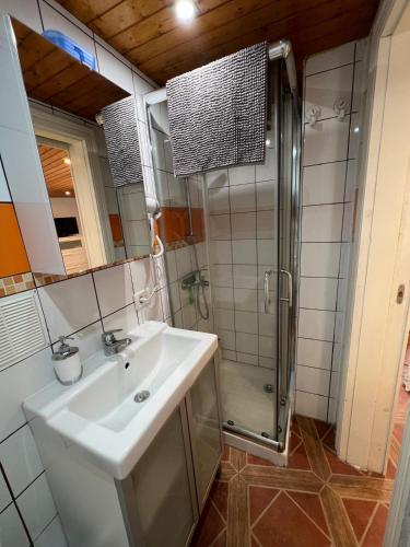 a bathroom with a sink and a shower at El Pequeño Refugio - C in Chío