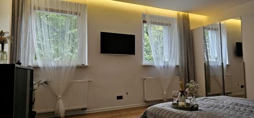 a bedroom with a bed and two windows and a television at BYTOM One 24H Strefa Komfortu in Bytom