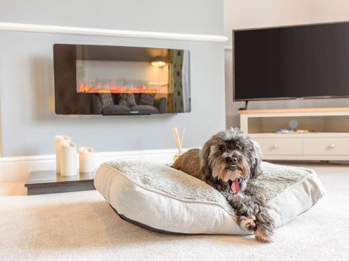 Billede fra billedgalleriet på 1 Bed in Old Colwyn 78154 i Old Colwyn