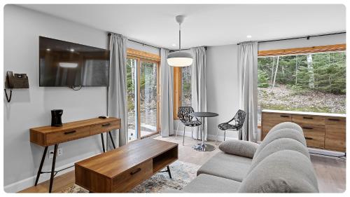 TV a/nebo společenská místnost v ubytování Hôtel Far Hills