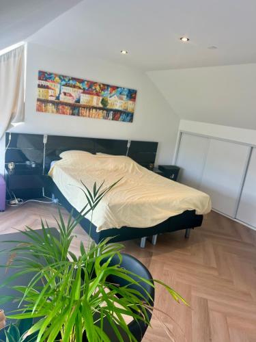 a bedroom with a bed and a potted plant at Ruime slaap kamer met werkplek en privé badkamer Leeuwarden bij Jacqueline in Leeuwarden