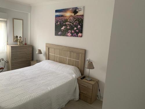 El Solano del Centro VUT-3323-AS