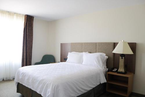 a hotel room with a large bed and a lamp at Staybridge Suites Austin Airport by IHG in Austin