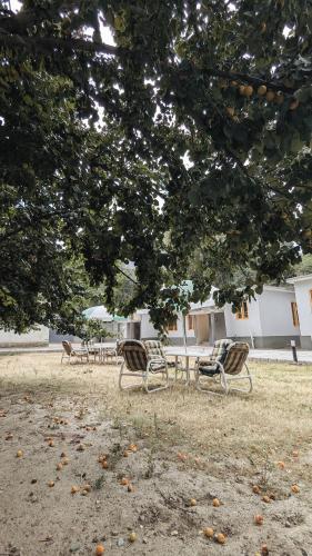 a group of benches sitting under a tree at Soma Hotels Skardu in Skardu