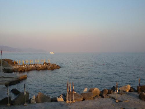 a large body of water with rocks in the water at Hotel Continental in Santa Margherita Ligure