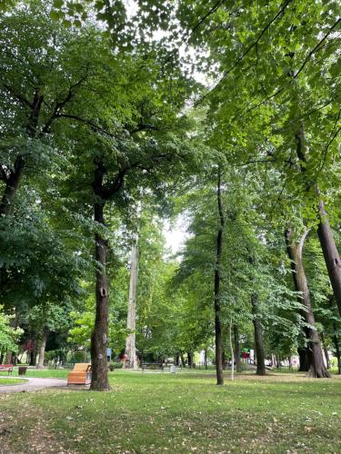 Jardín al aire libre en Pišta-pause