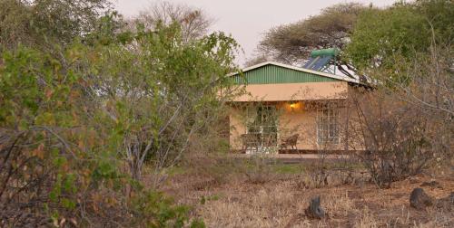 a house in the middle of a field with trees at Muchenje Self Catering Cottages in Muchenje