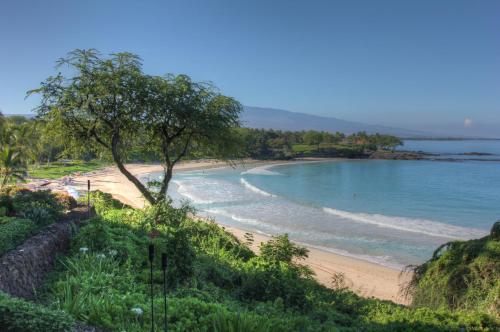a beach with a tree and the ocean at SEA GLASS Stunning 3BR KaMilo Home with Heated Pool and Best View in Waikoloa