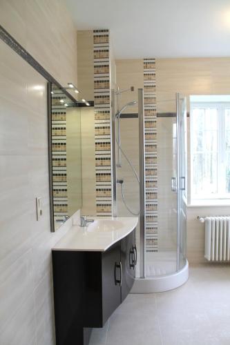a bathroom with a sink and a shower at Le château de Mesnil 1916 in Mesnil-Martinsart