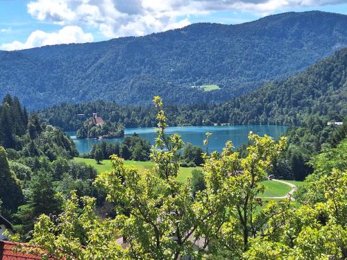 Fotografie z fotogalerie ubytování Magic Island View Bled v Bledu
