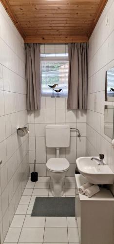 a white bathroom with a toilet and a sink at Apartment Iseltal in Matrei in Osttirol