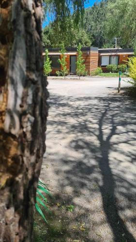 a shadow of a tree in front of a building at Cabañas Habitainer BordeRio 2 in Concepción