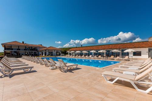 a row of lounge chairs next to a swimming pool at Hotel Qvevrebi in Tʼelavi