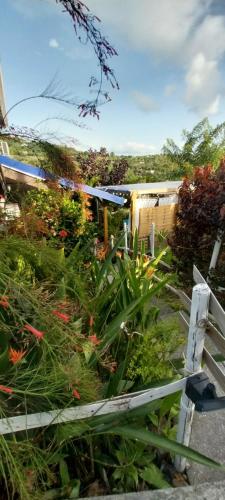 a garden with a fence and some plants at Le LiloVert - Studio 24 m2 in Le Carbet