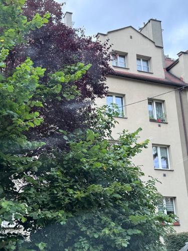 a tall building with a tree in front of it at Helenka Loft House 24H in Zabrze