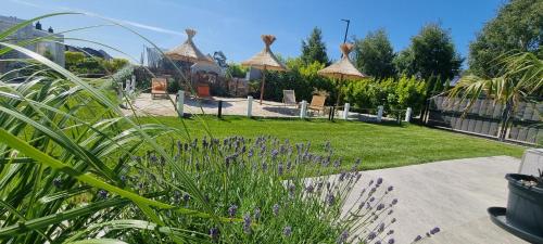 Φωτογραφία από το άλμπουμ του Apartamenty Biała Perła, sauna, jacuzzi, rowery σε Jastrzębia Góra