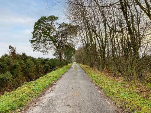 a dirt road with trees on either side at Cottage 2 in Aberdalgie