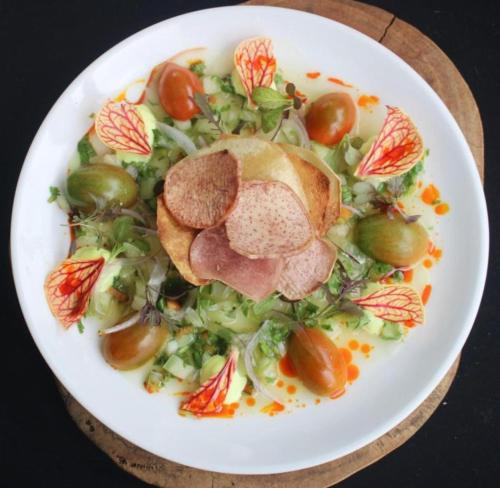 a white plate with a salad with meat and vegetables at Hotel El Arca, Jardín Botánico y Restaurante in Santa Bárbaraa