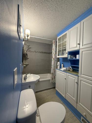 a bathroom with a toilet and a sink at Heartwood Inn in Drumheller