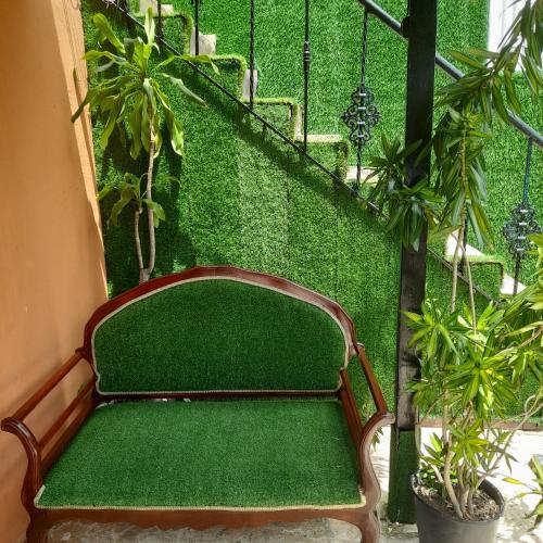 Un jardín fuera de Tropical 2