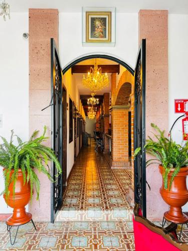 an entrance to a building with potted plants at Hotel Boutique Doña Celia in Aguascalientes